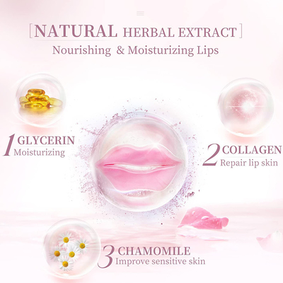 Custom Nourishing Konjac Lip Filler Patch Cruelty Free